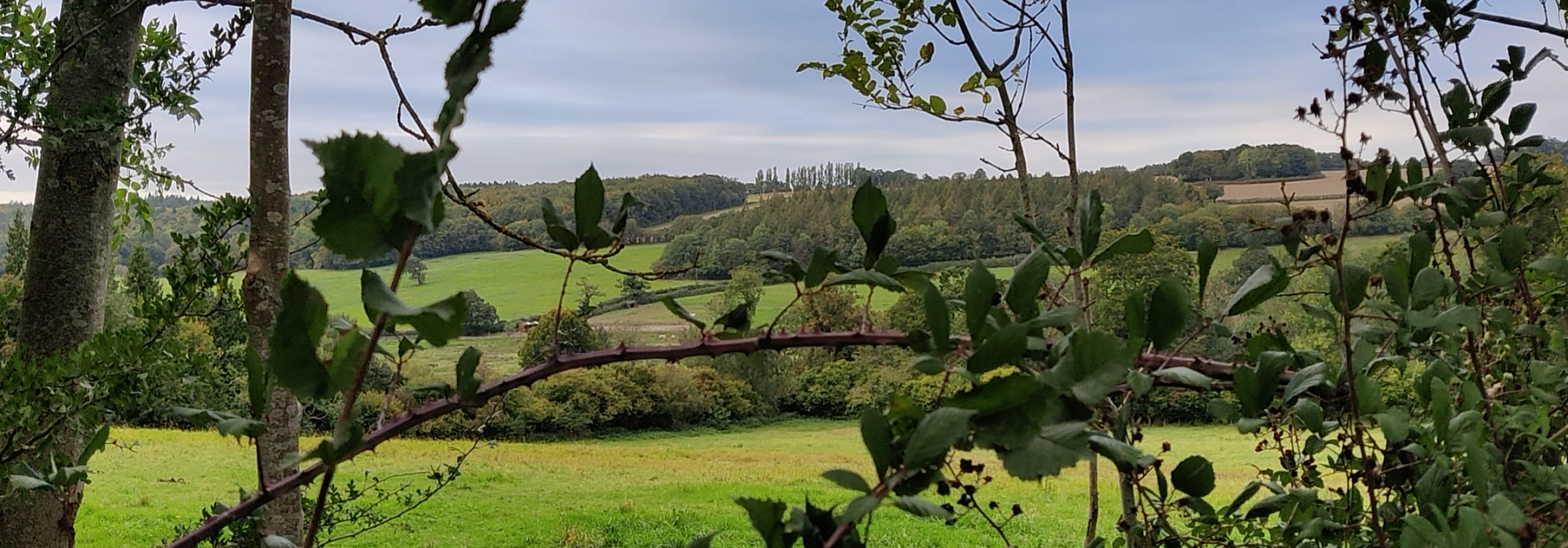 Looking towards Martin Top from Holloway Lane