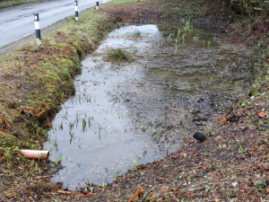 The Village Pond filling up 4 days after clearance